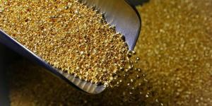 استقرار أسعار الذهب وسط ترقب بيانات اقتصادية أمريكية